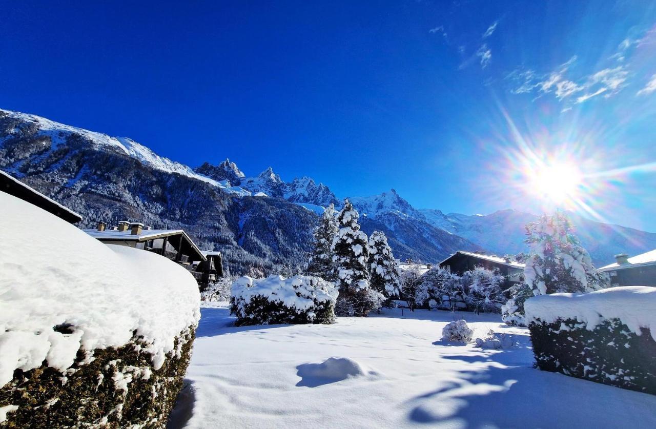 Chamonix Appartement Vue Mont Blanc Avec Jardin Exterior foto